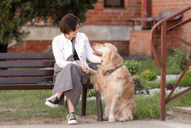 Golden Retriever, yazın evinin yakınındaki sahibine patisini veriyor.