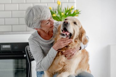 Gri saçlı kadın, Golden Retriever 'la evde vakit geçirmekten hoşlanıyor.