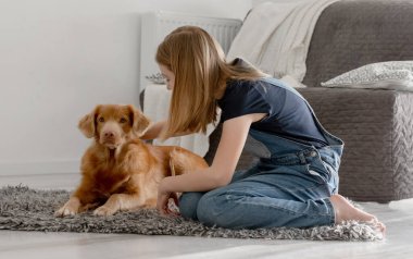 11 yaşındaki kız, Nova Scotia Retriever 'la evde oynuyor.