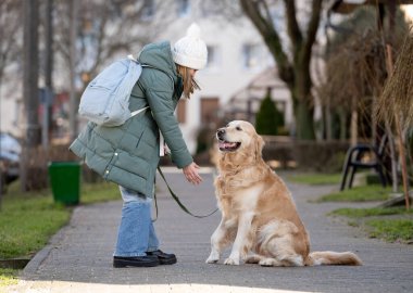 Baharın başında Yeşil Ceketli Küçük Kız Altın Köpekle Sokakta Yürüyor, Bir Çocuk ve Köpek Bond 'u Gösteriyor