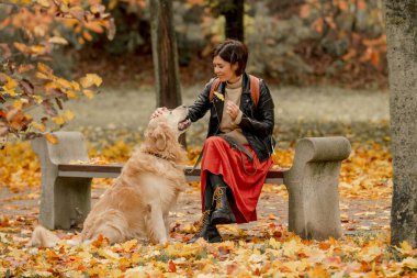 Bir sonbahar parkında bankta oturan ve Golden Retriever köpeğini okşayan genç bir kadın.