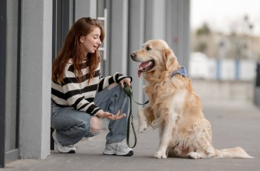 Golden Retriever 'lı Genç Kız Baharda Çalıyor