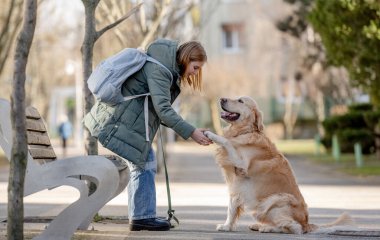 Golden Retriever köpekle kış yürüyüşü sırasında genç sahibine patisini veriyor.