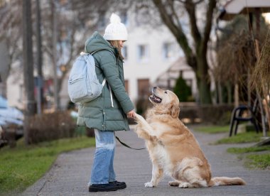 Golden Retriever köpekle kış yürüyüşü sırasında genç sahibine patisini veriyor.