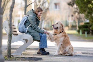 10 yaşındaki bir kız bankta oturur ve baharda Golden Retriever Dog 'a patisini verir.