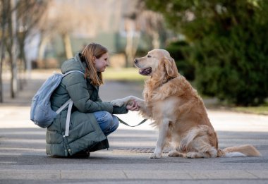 Golden Retriever köpekle kış yürüyüşü sırasında genç sahibine patisini veriyor.
