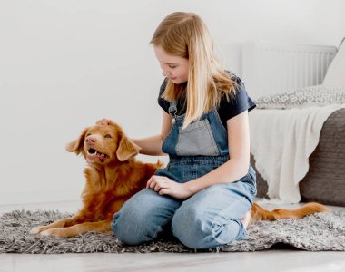 Küçük Kız Yerde Nova Scotia Retriever 'a sarıldı, Nova Scotia Retriever Toller