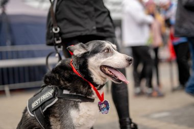 33. Final WOSP W Sremie, Polonya