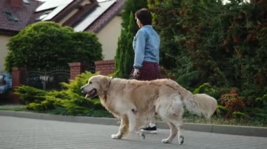 Dişi köpek sahibi, Daily Routine 'deki Ev Sahiplerine Karşı Muhteşem Altın Avcı Köpeği