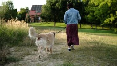 Arka planda altın bir av köpeğiyle gezen kız.