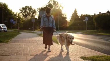 Kız sahibi, günlük rutinde gün batımında kaldırım kenarında sevimli bir köpek gibi yürüyor.