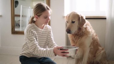 Küçük kız mutfaktaki sevimli altın av köpeğine yemek kupası veriyor.