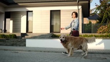 Modern tek katlı binaların kaldırımında altın bir köpekle gezen şık bir kadın ağır çekimde.