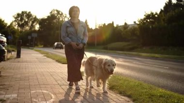 Kız sahibi gün batımında kaldırım kenarında sevimli bir köpek gibi yürüyor.