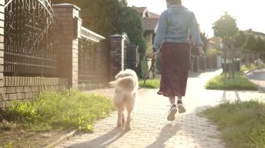 Sevimli köpekle Neşeli Yürüyüş yapan ve Zıplayan Kız