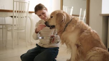 Mutlu, gülümseyen bir kız, evde oturmuş, güzel, altın bir köpekle besleniyor ve oynuyor.