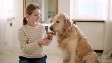 Mutlu Gülümseyen Kız, evdeki sevimli Golden Retriever Köpeğine Kuru Yemek Oynuyor ve Besliyor