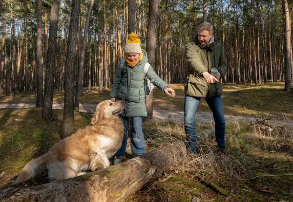 Baba ve kızı İlkbaharda altın bir av köpeğiyle ormanda yürüyorlar.