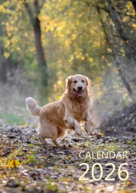 A3 Duvar Takvimi için Kapak 2026 Köpek Resimleri Yazdırma
