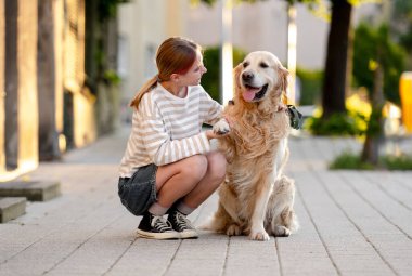 Sokakta bir kız izlerken Golden Retriever sahibine patisini veriyor.
