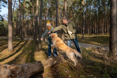 Baba ve kızı İlkbaharda altın bir av köpeğiyle ormanda yürüyorlar.