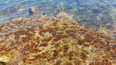 Clear sea water near the shore, natural background