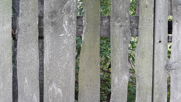 Weathered curved board fence, closeup