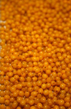 Deniz dikenli parlak meyveler, yakın plan yiyecek arka planı.