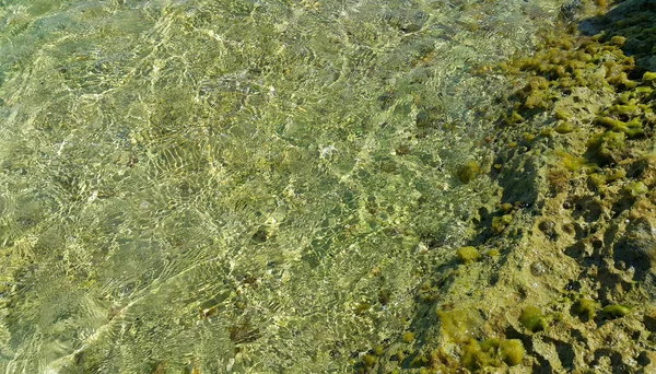 Klares Meerwasser Der Nähe Der Küste Von Mallorca Natürlicher Hintergrund — Stockfoto
