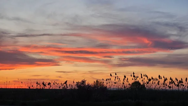 Landschaft Mit Schönem Hellen Abendhimmel — Stockfoto