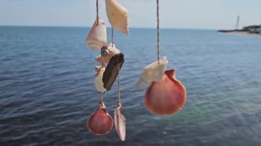 Farklı deniz kabukları ve taşların süslemesi rüzgarda sallanarak bir deniz manzarasına karşı, kapat