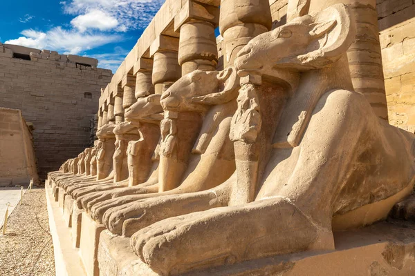 Karnak Temple Sunny Day Luxor Egypt —  Fotos de Stock