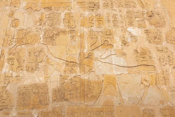 Храм Цариці Хатшепсут Долина Царів Єгипет — стокове фото