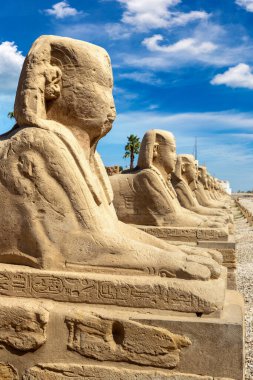 Sphinx Allee (Avenue of the Sphinxes) in a sunny day, Luxor, Egypt