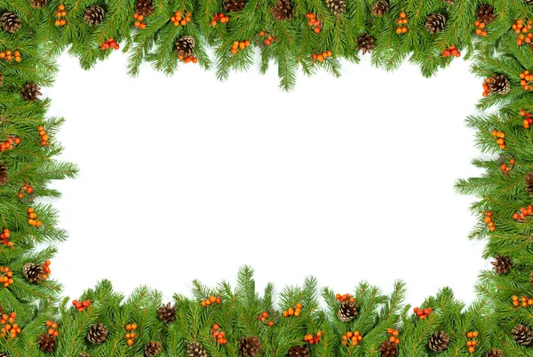 Vánoční Zelený Rám Kužely Cesmínou Bobule Izolované Bílém Pozadí — Stock fotografie