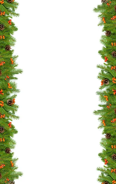 Χριστουγεννιάτικο Πράσινο Πλαίσιο Κώνους Και Μούρα Holly Απομονώνονται Λευκό Φόντο — Φωτογραφία Αρχείου