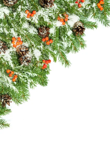 Weihnachten Hintergrund Mit Schnee Zapfen Und Stechpalme Isoliert Auf Weiß — Stockfoto
