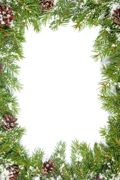 雪のクリスマスの背景と白に隔離されたコーン — ストック写真