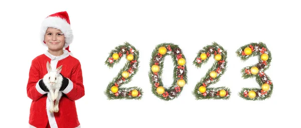 中国新年 男孩手里拿着一只圣诞兔子和2023年的数字 这些数字是由白色背景中分离出来的圣诞树枝做成的 — 图库照片