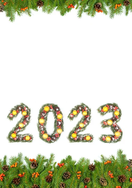크리스마스 2023 크리스마스 나뭇가지가 배경에 분리되어 만들어 — 스톡 사진
