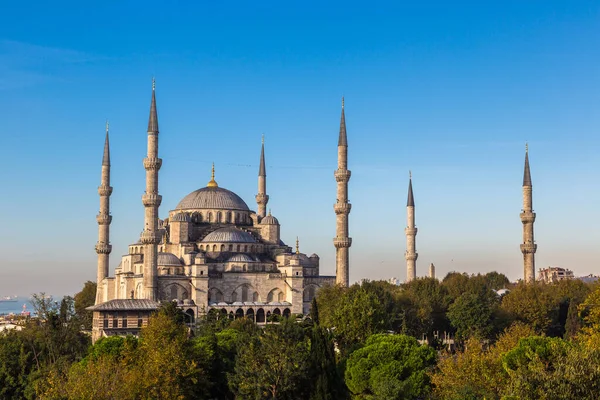 苏丹艾哈迈德清真寺 蓝色清真寺 在伊斯坦布尔 土耳其在一个美丽的夏日 — 图库照片