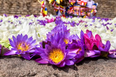 Sri Lanka 'daki Anuradhapura Arkeoloji Müzesi' ndeki Büyük Beyaz Ruwanwelisaya stupasında lotus çiçeklerinden yapılan seremoni kompozisyonu