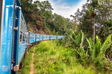 Nuwara 'da tren Eliya, Sri Lanka' da yaz günü