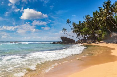 Sri Lanka 'da güneşli bir günde Dalawella Sahili' nde kayalar ve palmiye ağaçları