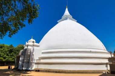 Kolombo, Sri Lanka 'daki Kelaniya Raja Maha Viharaya tapınağının beyaz salağı.