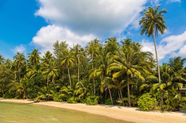 Bir yaz gününde güzel tropikal plajlar