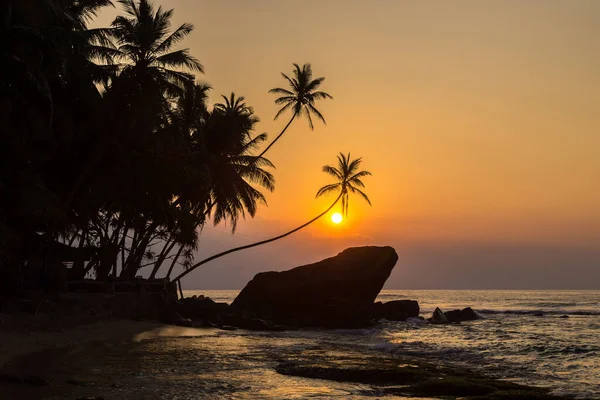 Sunset Dalawella Beach Sri Lanka — Stock Photo, Image