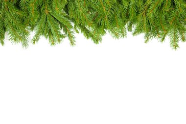 Beyaz arkaplanda izole edilmiş Noel yeşili çerçeve