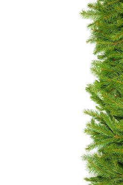 Beyaz arkaplanda izole edilmiş Noel yeşili çerçeve