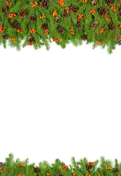 Рождественский Зеленый Каркас Шишками Пустотелыми Ягодами Белом Фоне — стоковое фото
